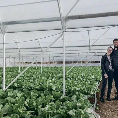 Фермеры Красногвардейского района получили гранты на развитие своего дела